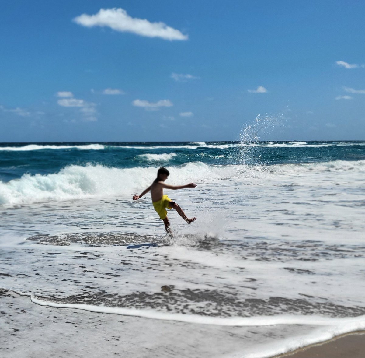 Lisa Robol tweet media