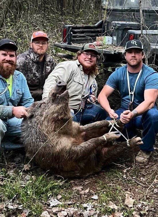 We catch ‘em and tie em around here 🐗🐗