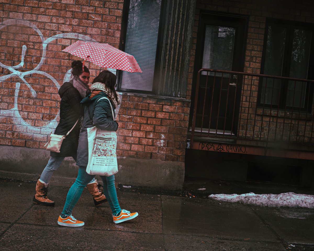 itake5core5's tweet photo. gm gm #photographylovers #lightchasers
Another brick in our wall.
On Portra160VC replica.
2023. #Montreal.
@fujilovemag @Portra160vc @obscuratwt @StreetPhotoFine https://t.co/iIihpZjjEP