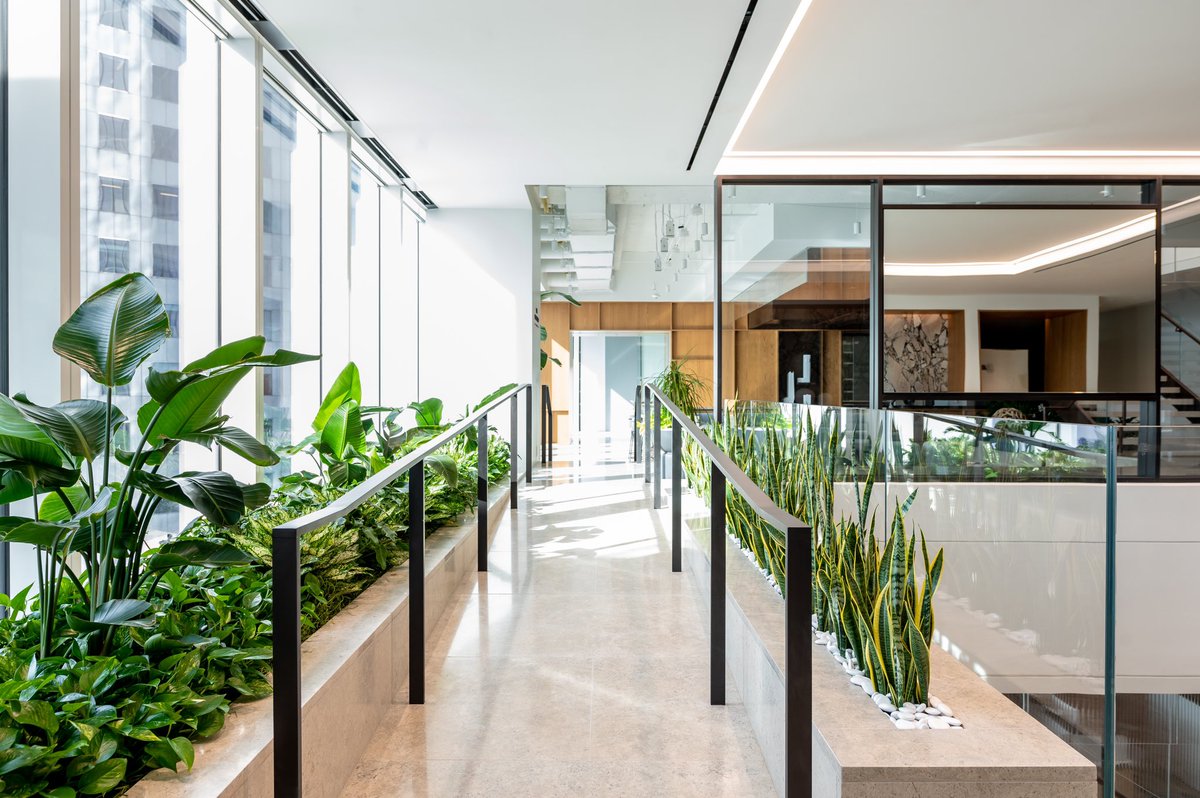 Wow! THIS is biophilia in the workplace.

#biophilicdesigns #officedesign #houston