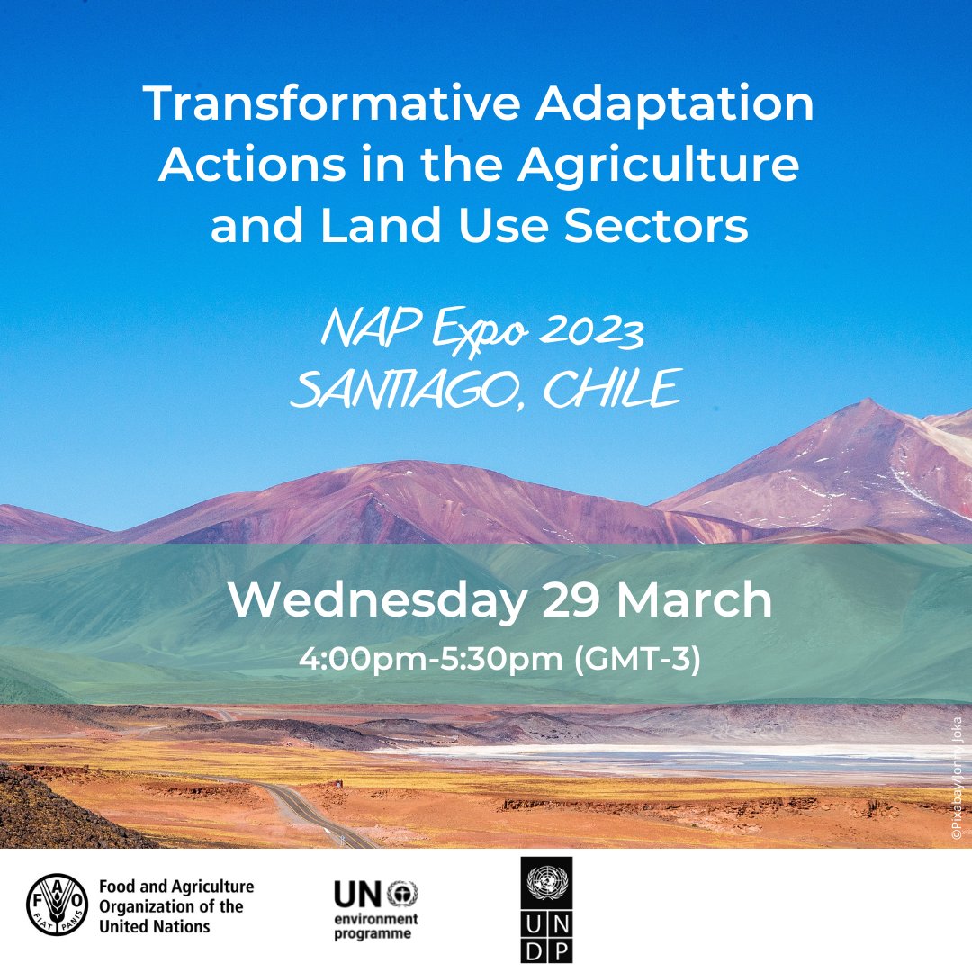 UNDP Climate (@undpclimate) on Twitter photo Will you be at the #NAPExpo2023 in Chile? 🇨🇱
Join <a href="/FAO/">Food and Agriculture Organization</a>, <a href="/UNDP/">UN Development</a> and <a href="/UNEP/">UN Environment Programme</a> for country examples of transformative adaptation actions in the agriculture sector.
Don't miss the #SCALAprogramme's Climate Action Review Matrix tool demo! 📊
More info: ow.ly/upTC50Nrcn1 Will you be at the #NAPExpo2023 in Chile? 🇨🇱
Join <a href="/FAO/">Food and Agriculture Organization</a>, <a href="/UNDP/">UN Development</a> and <a href="/UNEP/">UN Environment Programme</a> for country examples of transformative adaptation actions in the agriculture sector.
Don't miss the #SCALAprogramme's Climate Action Review Matrix tool demo! 📊
More info: ow.ly/upTC50Nrcn1