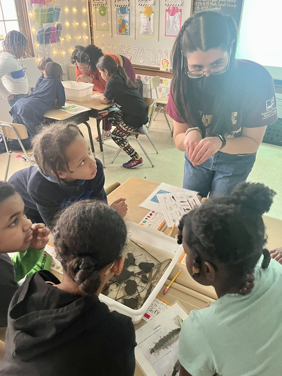 Olivia Shaw tweet media