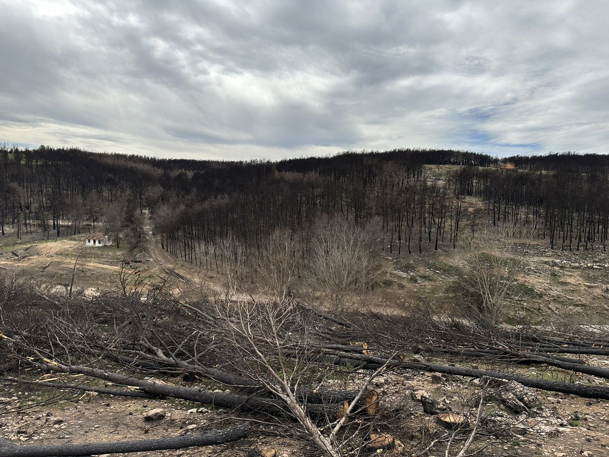 Valencia_WX's tweet image. Con la huella del #IfBejis fotos tomadas en la Fte de la #Chana #Viver, ahora fuego voraz en el #IfVillanuevaViver #Castellón Autor: @Adrianherrfos 

@jcfortea @apuntoratge @tiempobrasero @MeteoredES @Hardacho @JuanjoVillena @AEMET_CValencia @meteo_cs @minervagra @RAM_meteo