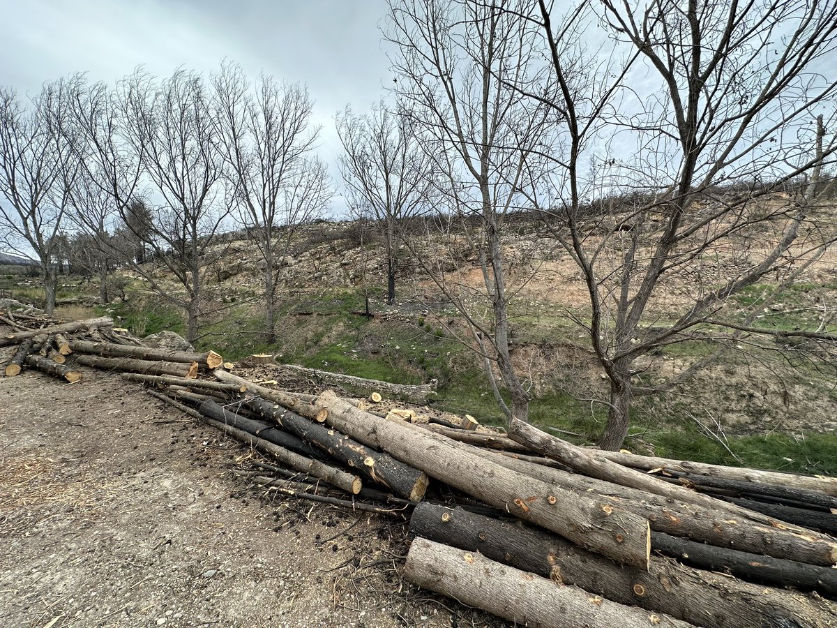 Valencia_WX's tweet image. Con la huella del #IfBejis fotos tomadas en la Fte de la #Chana #Viver, ahora fuego voraz en el #IfVillanuevaViver #Castellón Autor: @Adrianherrfos 

@jcfortea @apuntoratge @tiempobrasero @MeteoredES @Hardacho @JuanjoVillena @AEMET_CValencia @meteo_cs @minervagra @RAM_meteo