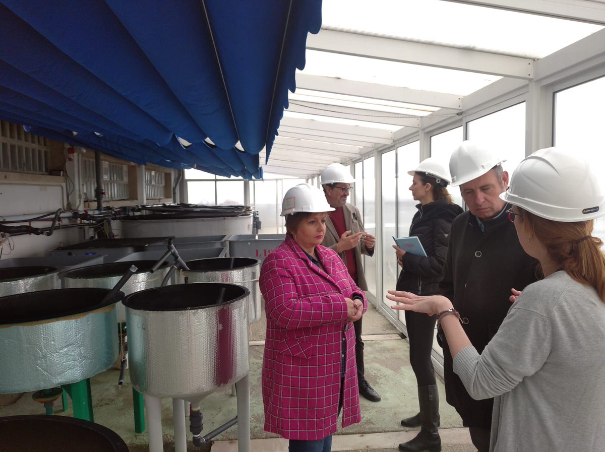 IEOoceanografia's tweet photo. Ayer, el director del #IEO @JavierRuizSegu4, la vicedirectora de Asesoramiento @MG_Bal y el vicedirector de investigación @davitindiaz visitaron @IEOVigo para analizar la situación de las infraestructuras, reunirse con el personal y buscar soluciones a corto, medio y largo plazo. https://t.co/evdkmtBRgs