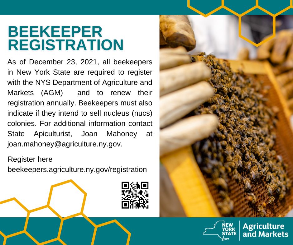 CCEFranklin (@ccefranklin) on Twitter photo 