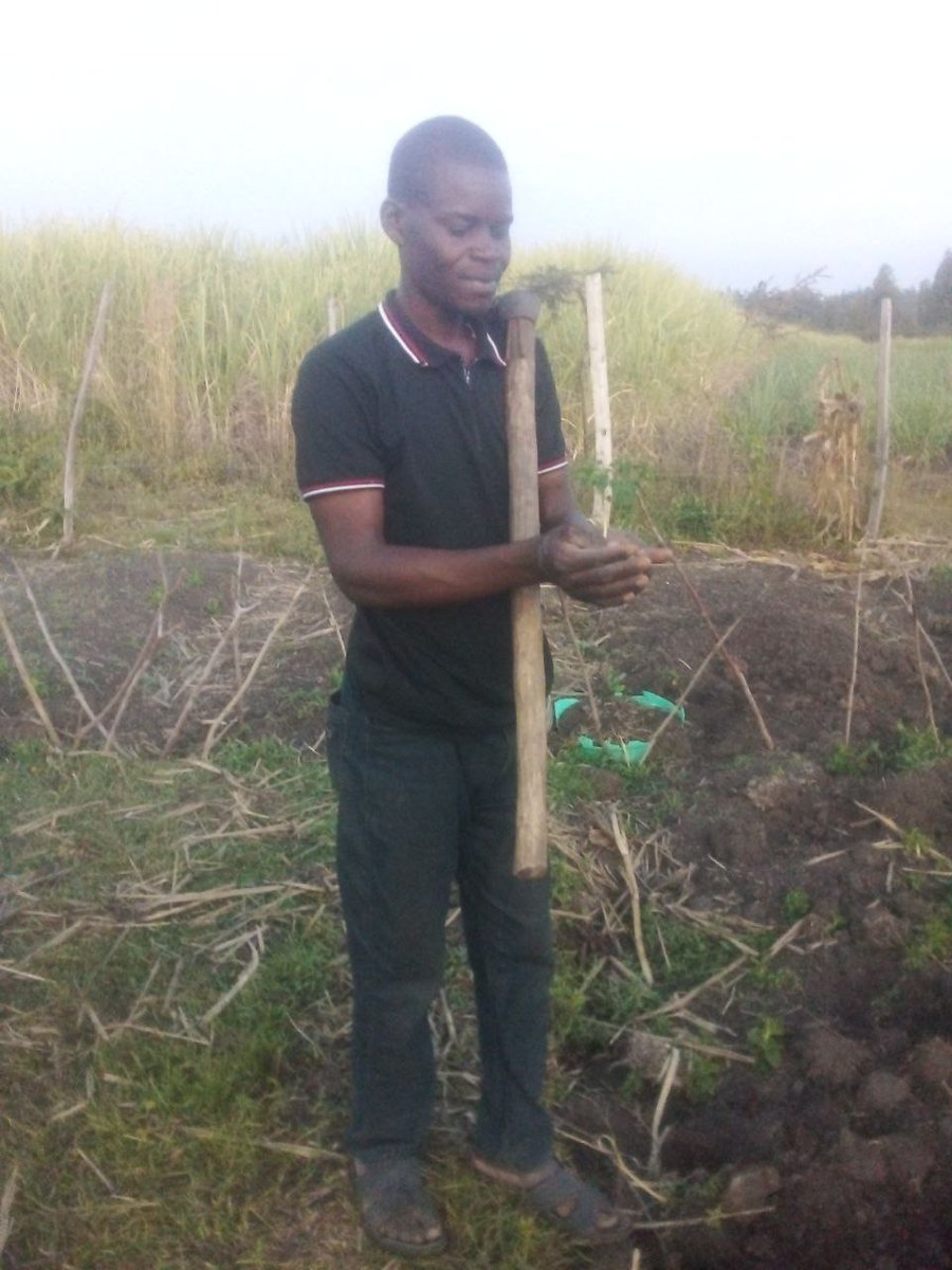 We have been building wonderful connections as we activate our DAO and moving through the fund raising journey. 
But we would love to have some help for our Kenyan family coming out of a drought.
gofund.me/f57649e7
From little things big things grow.