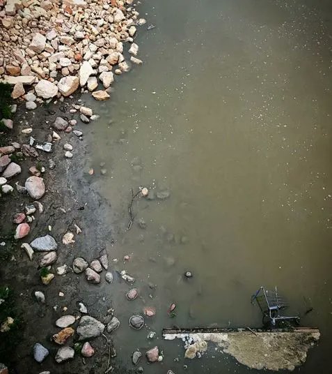 #Einkaufswagenkunst von A-Z @Rex_Cramer <a href="/SirTificate/">Sir Tificate</a> @tadejtadej <a href="/U_Batke/">Uwe Batke</a> <a href="/vitaminfeminin/">AM</a> <a href="/waudinho/">RazzFazz</a> @Xoph_vienna <a href="/Yeti98_/">Randy Coleman</a> <a href="/zurwehme/">beate zurwehme</a>