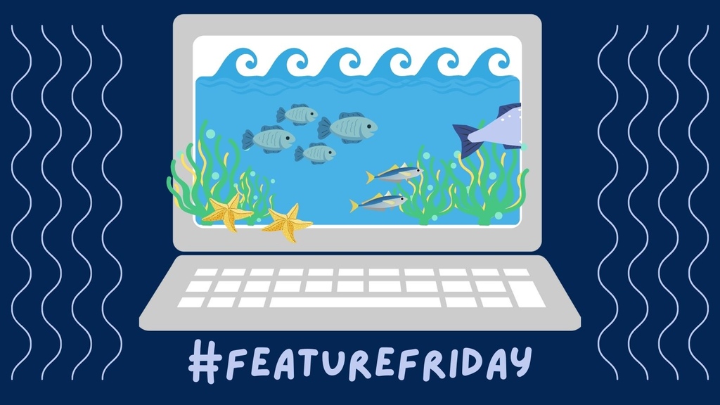 Check out the Huntsman Marine Science Centre's virtual exhibit 'DIVE DEEPER'. This virtual exhibit allows you to explore the Quoddy Region of the Bay of Fundy from the comfort of your own home. 👉️divedeeper.site
#OceanLiteracy #QuoddyRegion #BayOfFundy #FeatureFriday