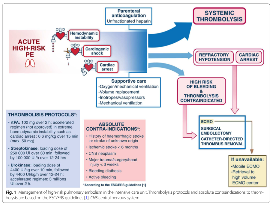 ESICM's tweet photo. 1/ @yourICM's highlights:

🔹 High-risk pulmonary embolism in #ICU 👉 https://t.co/4jizOg9ZqY
🔹 OPEN ACCESS ~ Optimal oxygen and mean arterial blood pressure targets after #CardiacArrest 👉 https://t.co/t0CZ3zvYDS https://t.co/rdtjdZxiY1