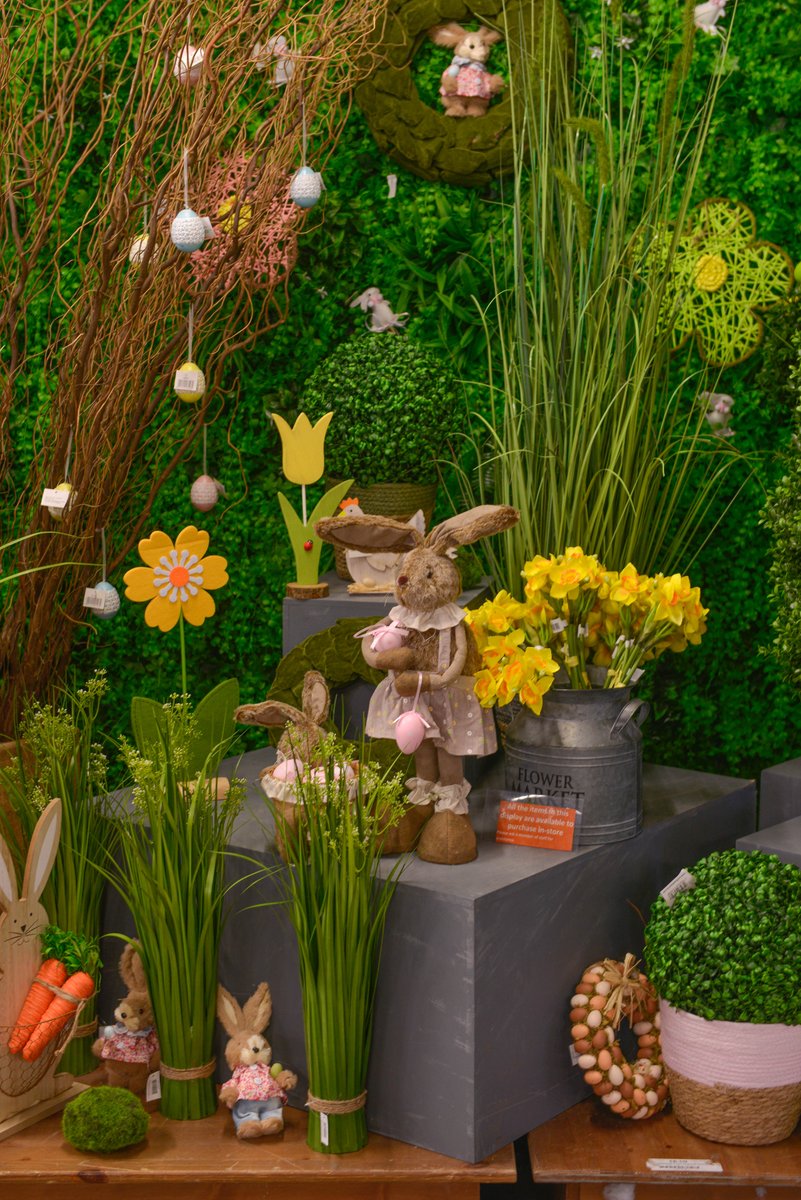 Easter is well under way in our Leeds store - the store entrance is covered with colourful eggs, fluffy bunnies and spring flowers 🐰

Head to one of our nationwide stores to see for yourself or shop our Easter collection online - countrybaskets.co.uk/parties-occasi…