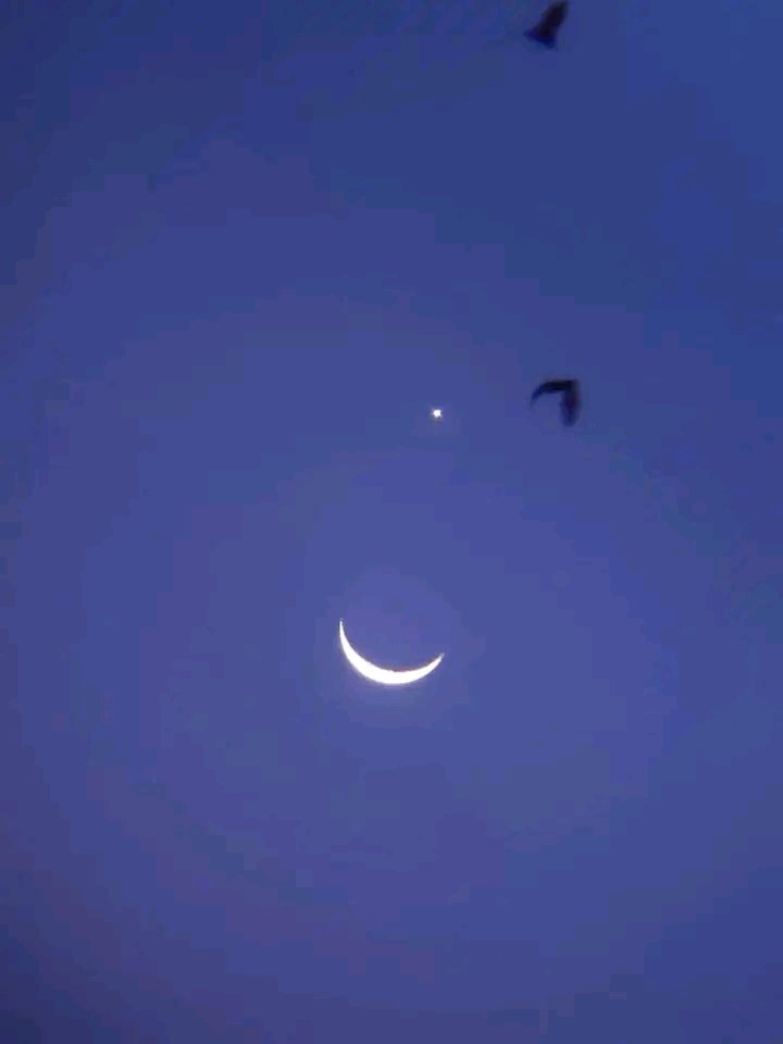 BarrogaMar tweet picture