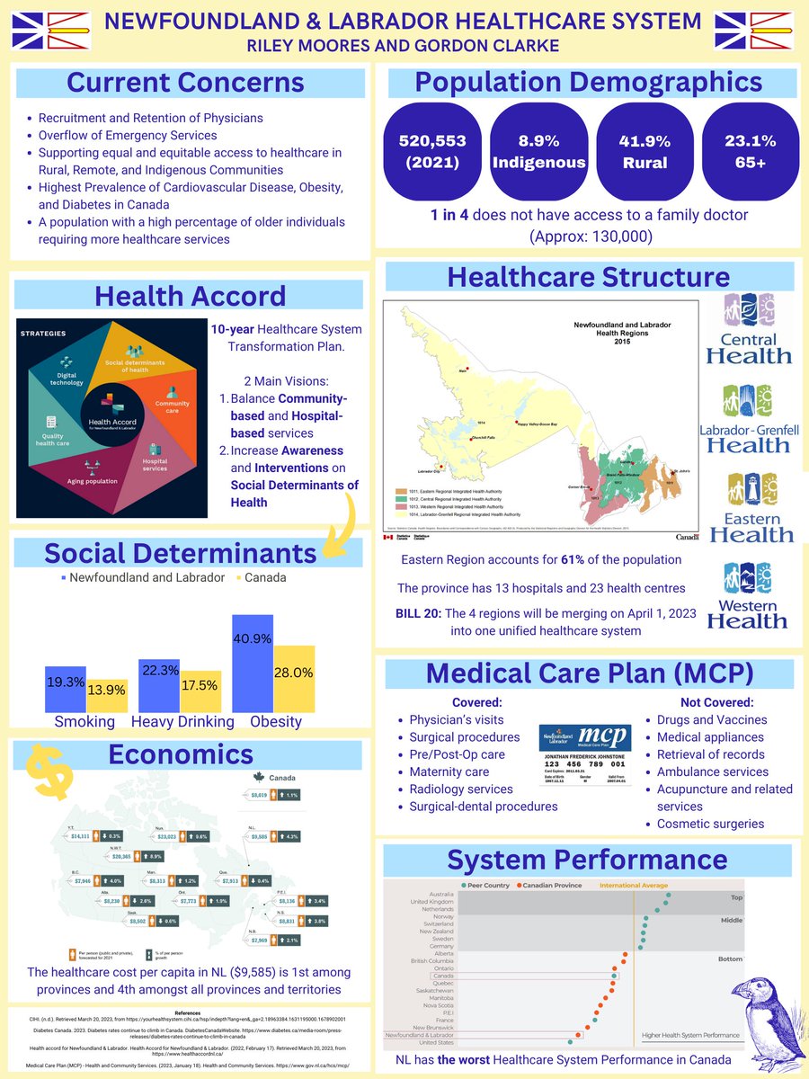 rcmoores's tweet photo. Our poster highlights some of the key factors in Newfoundland and Labradors Healthcare system, with the release of #NLBudget yesterday it will be interesting to see how some of these crucial factors will be influenced moving forward #Med6288 https://t.co/i5M0G1KIOf