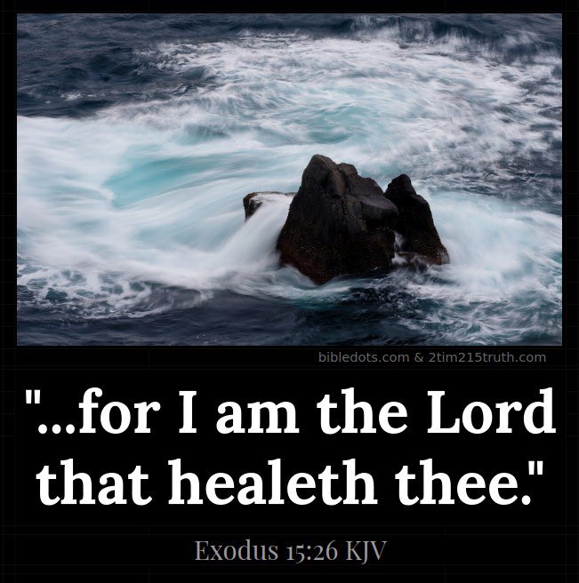 Joe Shakour tweet media