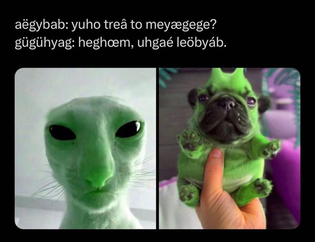 pussyslayerBENd's tweet photo. https://t.co/MV2MDyKHTB