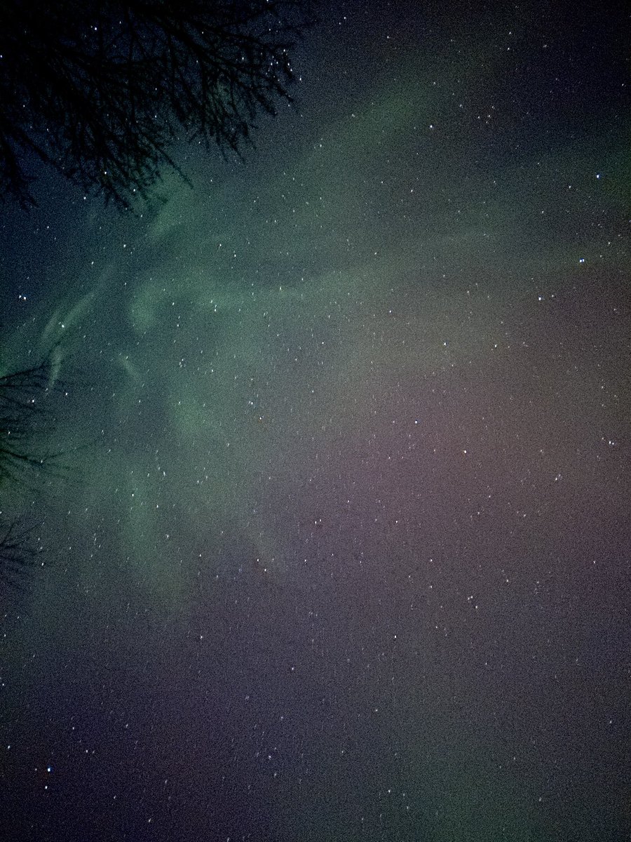 Will McWeather tweet media