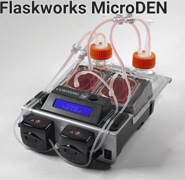 flaskworks's tweet photo. @biggercapital @MDendream By applying a Fordist mode of production to the untapped all solid tumors market, $NWBO could be the Amazon of Oncology if they can execute on their manufacturing vision. https://t.co/F2WB9JgpoH