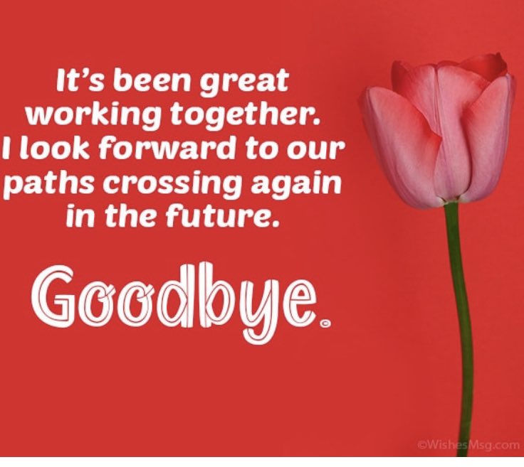 Nagina Javaid tweet media