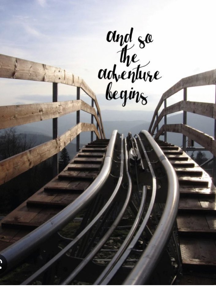 Nagina Javaid tweet media