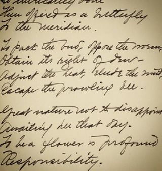 99ediciones's tweet photo. To be a flower is profound
Responsability.

Bloom, by Emily Dickinson.

.
.
.
#poesia #poema #poeta #emilydickinson #bloom https://t.co/Fsfr90RpBw https://t.co/6cBZAJtbhU