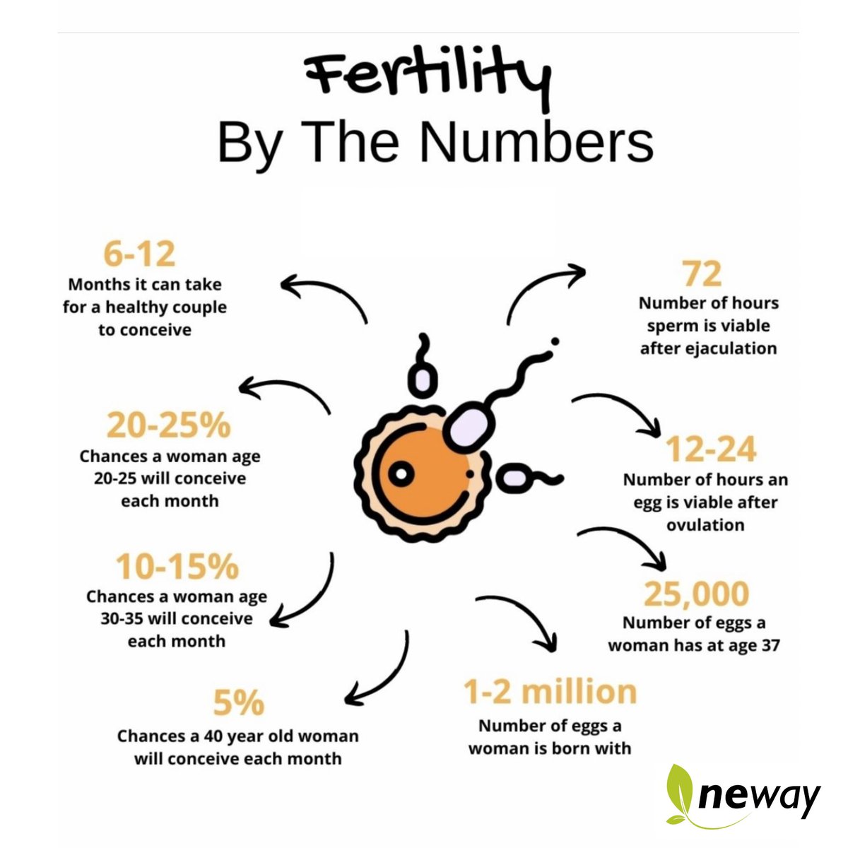 🌱 #fertilityfriday #fertilityfacts #factfriday #fertilitymatters #fertility #fertilityjourney #fertilitysupport #newayfertility