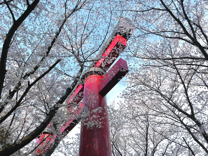 去年撮った桜とうらぶ始まりそう 