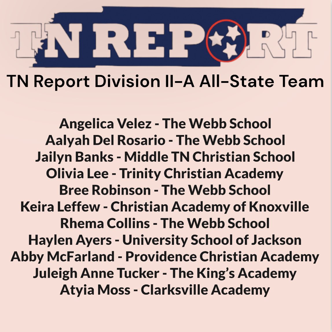 Congrats to everyone who was named to The TN Report Division II-A All-State Team!