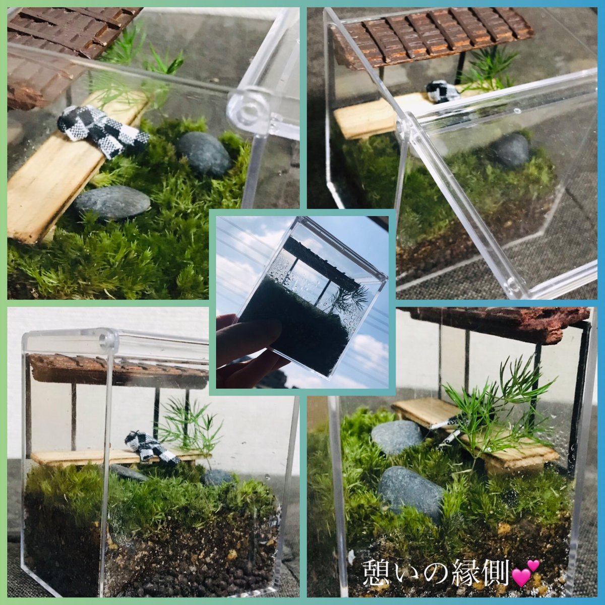 iyo_1971's tweet photo. ちょこんと座ってぼーっとしていたくなる縁側。ウチにはないので苔テラリウムで製作。ドラマ『夕暮れ〜』が終わって名残惜しくて空豆のマフラーを置いてみた
#苔テラリウム
#縁側
#癒し
#夕暮れロス https://t.co/m01oOCfNCt