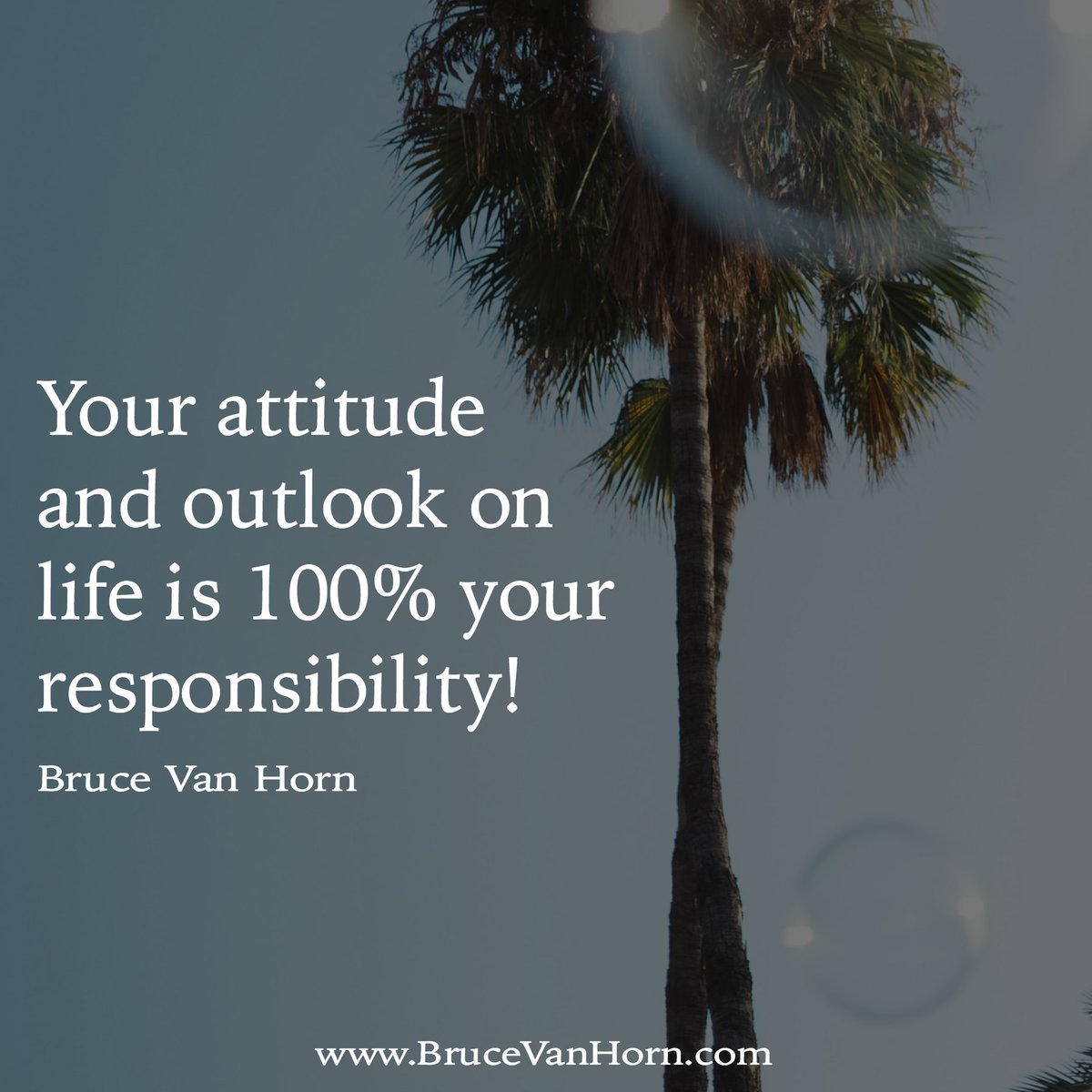 Bruce Van Horn tweet media