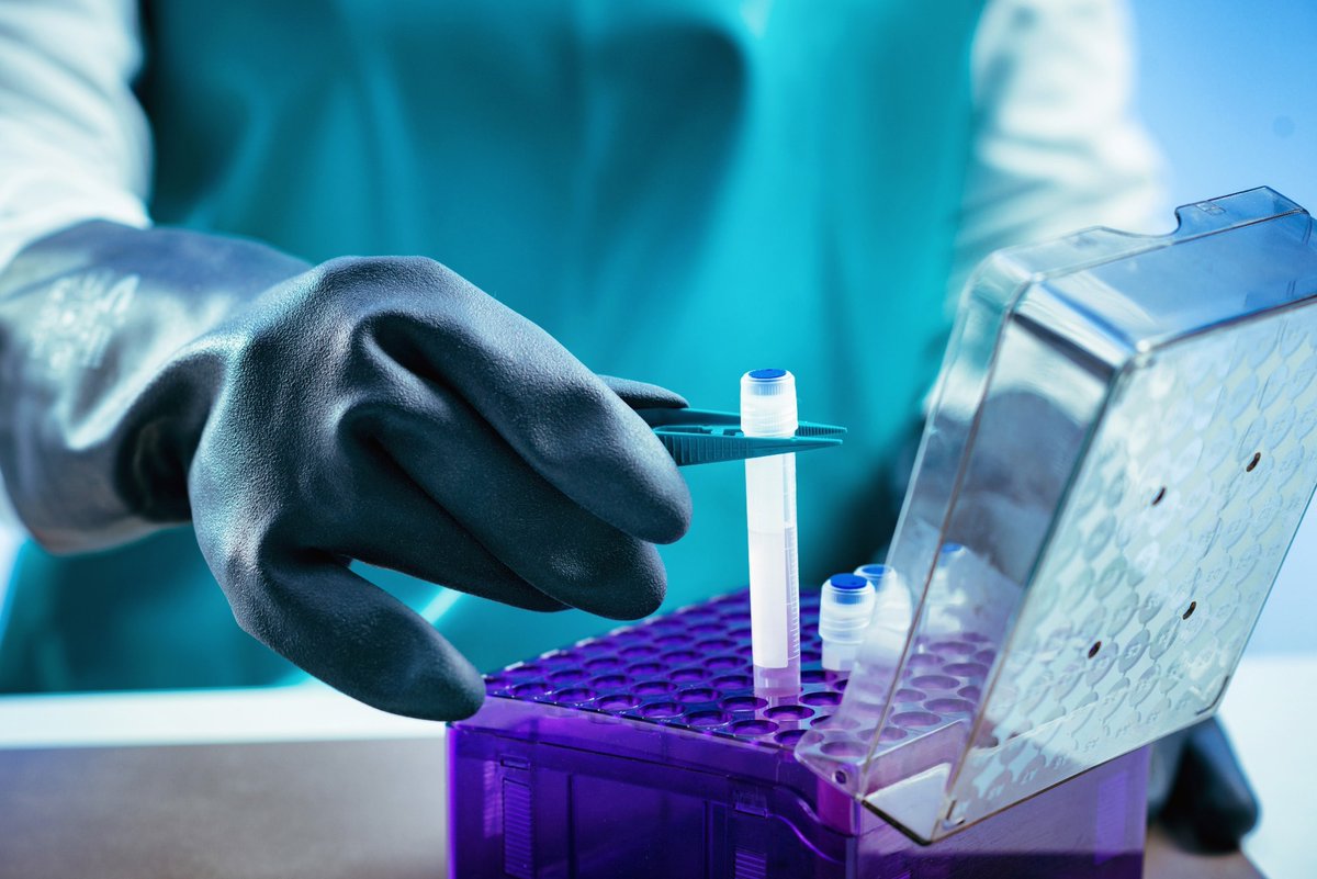 NewsMedical's tweet image. What Role do Biobanks Play in Cancer Research?
#biobanks #cells #cancer #cancerresearch #health news-medical.net/health/What-Ro…