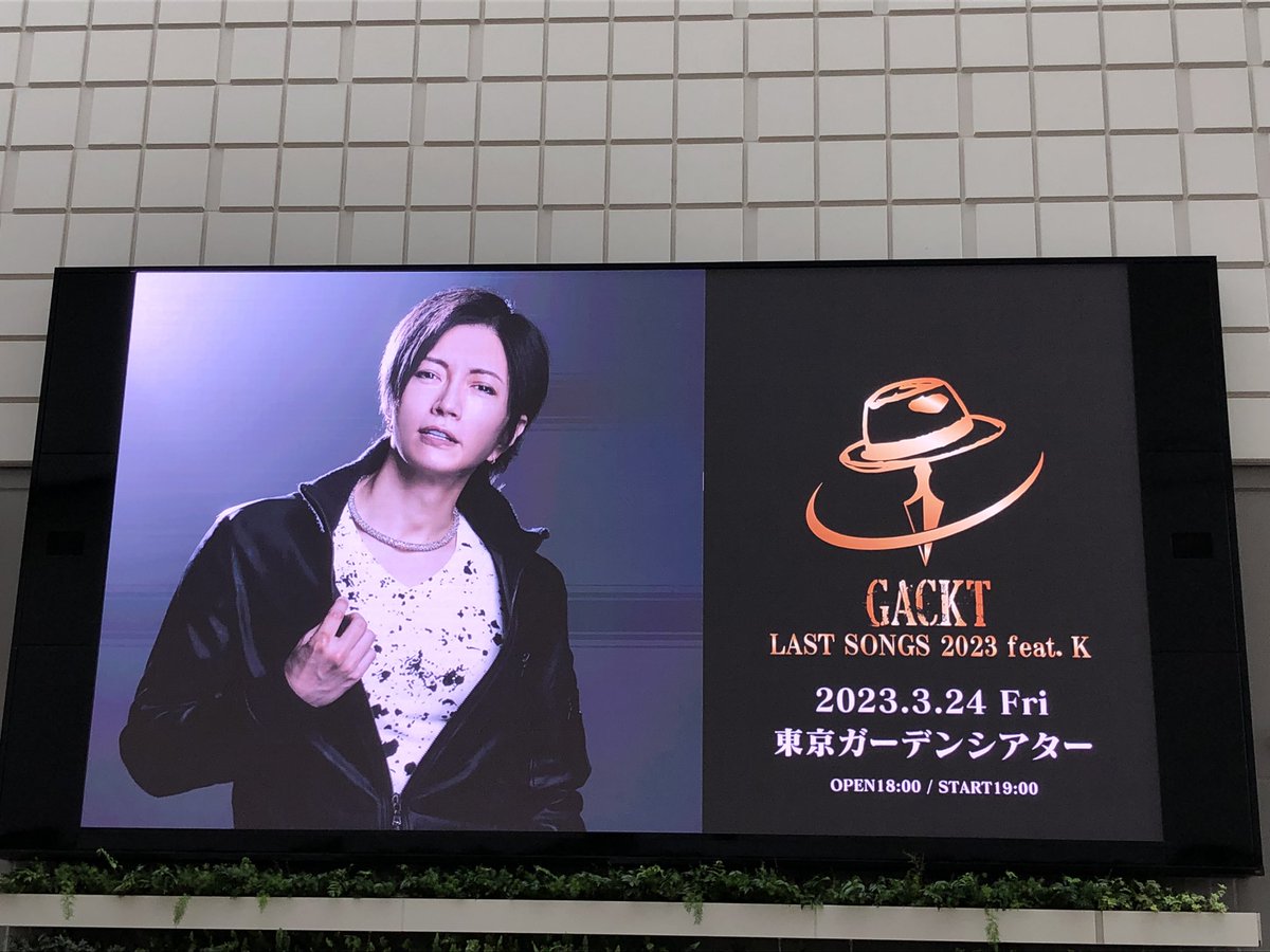 最終価格‼️ GACKT ライブ中本人使用ピック Gackt | web-flake.com