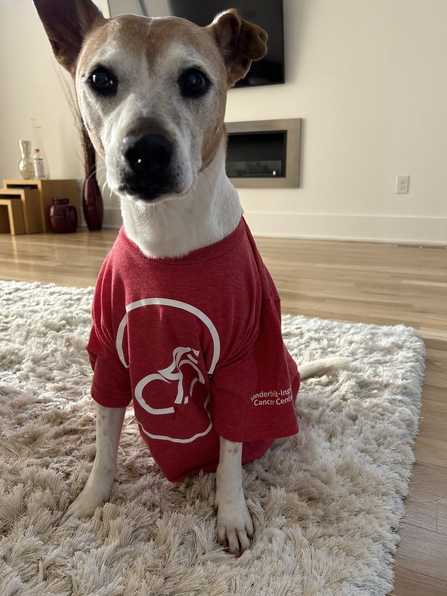 Dr. Cathy Eng (@cathyengmd) on Twitter photo Gabs wants to remind you tomorrow is #ClipIn4TheCure (clipin4thecure.org). She’s cheering 📣”Go Team Cycle Divas”<a href="/FirstHorizonPrk/">First Horizon Park</a> for my 2-legged mom 🚴♂️🚴♀️ to raise 💰for #canceresearch and #pediatric #cancer @VUMC_Cancer @VUMCHemOnc <a href="/VUMChealth/">Vanderbilt Health</a> @VUMC_MD <a href="/benhopark/">Ben Ho Park</a> Gabs wants to remind you tomorrow is #ClipIn4TheCure (clipin4thecure.org). She’s cheering 📣”Go Team Cycle Divas”<a href="/FirstHorizonPrk/">First Horizon Park</a> for my 2-legged mom 🚴♂️🚴♀️ to raise 💰for #canceresearch and #pediatric #cancer @VUMC_Cancer @VUMCHemOnc <a href="/VUMChealth/">Vanderbilt Health</a> @VUMC_MD <a href="/benhopark/">Ben Ho Park</a>