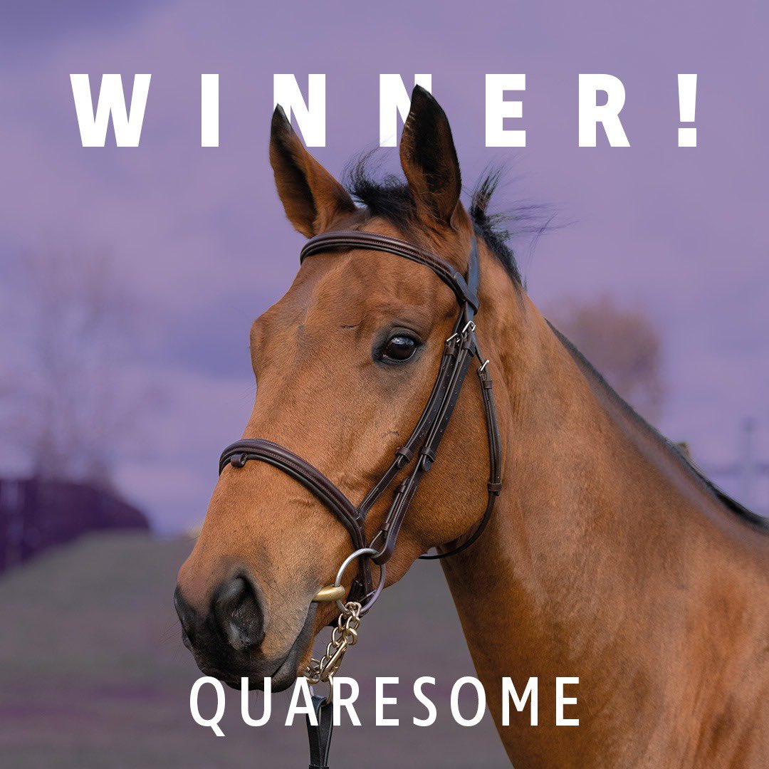 ownersgroupuk's tweet photo. Quaresome makes the perfect start @MusselburghRace for @donaldmccain Brian Hughes and his https://t.co/v0Lrl3HMFP owners with an emphatic win 👏🏻 🏆 #quaresome #ownersgroup https://t.co/g6dcKcHx7T