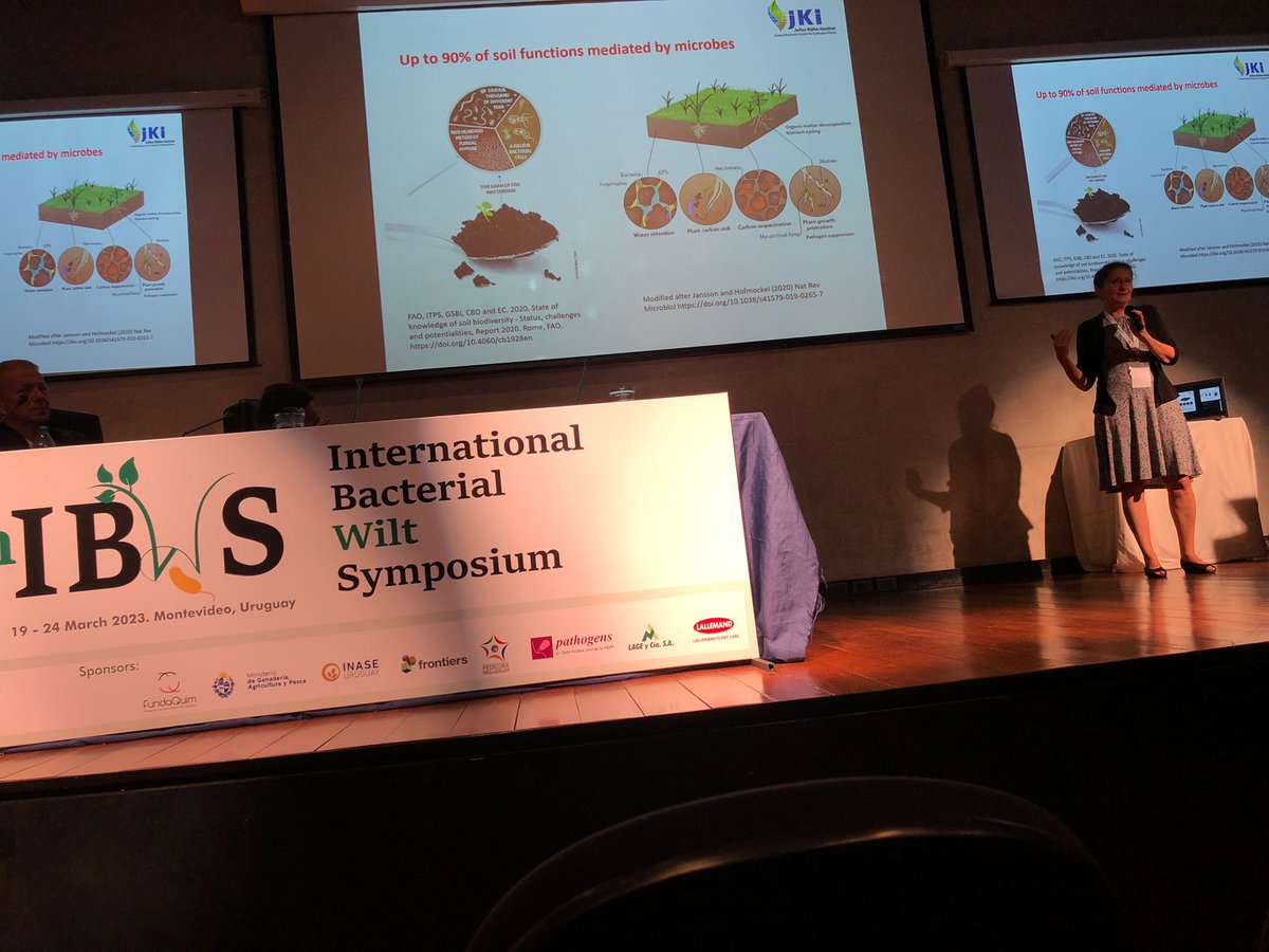 7IBWS2023 tweet media