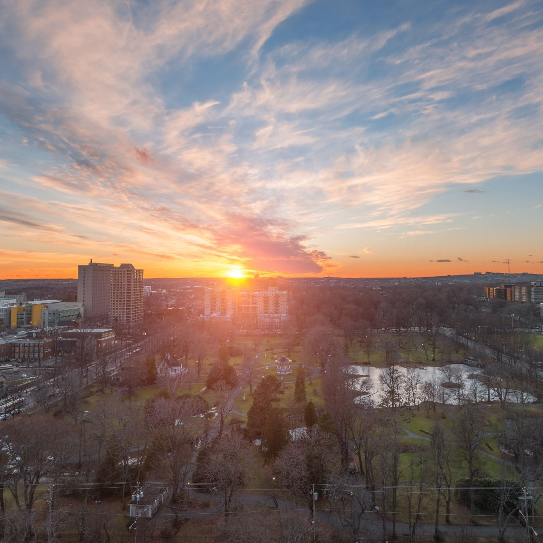 universalhfx's tweet photo. What better way to start your day than with panoramic views of the blooming Public Gardens? The Paramount offers the ideal location surrounded by the best of Halifax. 

Contact our property manager, Natasha, at 902-221-3876 or paramount@universalgroup.ca to schedule a tour. https://t.co/khwQftRMqV