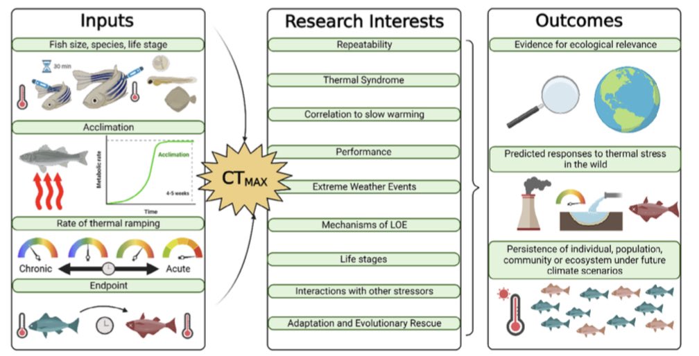 jdesforg's tweet photo. It’s out!! 🤩 If you’re planning on using CTM in your next study, have a look at some of the things that can seriously ramp up that oomph factor 🔥🐟🌡️ https://t.co/pOEXzwH3Ov @SJC_fishy @FredrikJutfelt @afishyonado @kbg_conserv @TerraFirmest @AmandaEBates https://t.co/LfPCHgYd57