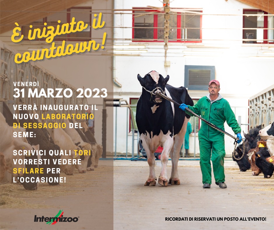 Intermizoo's tweet photo. 🇮🇹 𝗢𝗽𝗲𝗻 𝗗𝗮𝘆 𝗜𝗻𝘁𝗲𝗿𝗺𝗶𝘇𝗼𝗼 🇮🇹

🔥 Manca solo una settimana! 🔥
➡ Riserva il tuo posto per l'open day al Centro Tori Vallevecchia ⬅
🐮 Potrai vedere la Sfilata dei Tori Intermizoo, e visitare il nuovo… https://t.co/RBToY0dmx6