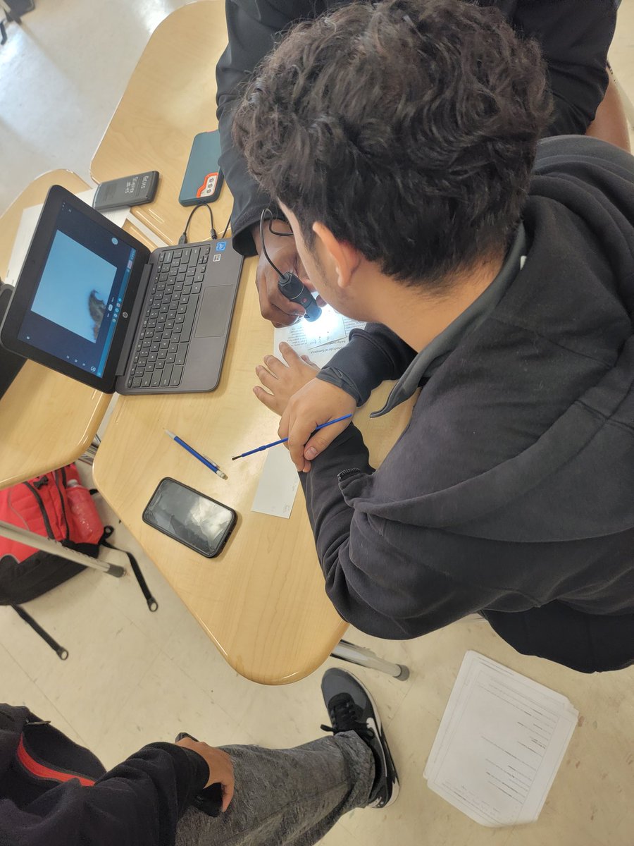 emilylahredu's tweet photo. STEM Biology students @GreeneCentralHS are working with D. melanogaster. So excited to have the students do crosses and analyze data! Hmm...what's the dominant trait?

#sciencebydoing
#ScienceInAction 
#teachertwitter
#STEM
@DrPatrickGreene
@Jgarscie 
@GreeneCoSchools https://t.co/C6uBZtcwom