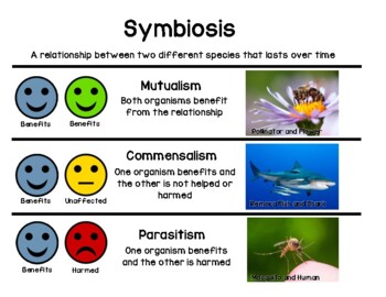 bethansmith93's tweet photo. @whatsthepont @AuditWales_GPX @ena_lloyd Its well researched that eating together; especially the same food, builds trust amongst groups! Pot luck lunch is a great community builder! Any kind activity that seeks to optimise  mutual or commensal relationships and averts parasitism (which tends to diminish cooperation. https://t.co/xcQqIiv6ip