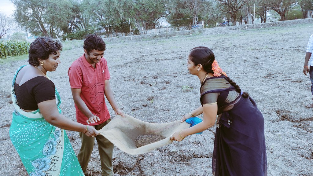 kannaparru's tweet photo. @ap_agriculture @vijaythallam @ICRAF @FundAgroecology @CollectorGuntr
@ap_agriculture ,
Doing Rabi Dry sowing #RDS,
Pelletization of seed with nutrient enriched midia as protector &amp; it's used as hygroscopic substance after receiving optimum moisture,
Finally seed germination.🌱🌱 https://t.co/pmEd0qO8Nx