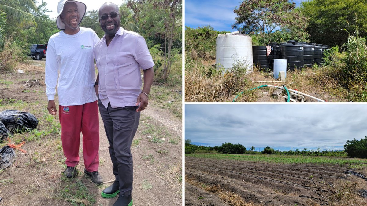 Collaboration🫱🏿🫲🏽 is key for #foodsecurity &amp; #waterefficiency. On our recent visit to #Antigua🇦🇬 beneficiary #farmer Neil Gomes, we were joined by Minister E. P. Chet Greene who learnt about the #farm needs towards improving the #agriculture framework <a href="/AMEXCID/">AMEXCID</a> <a href="/SRE_mx/">Relaciones Exteriores</a> <a href="/CARICOMorg/">CARICOM: Caribbean Community</a>