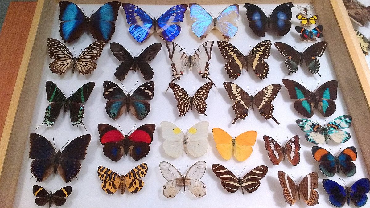 Jake Wintermute 🧬/acc tweet media