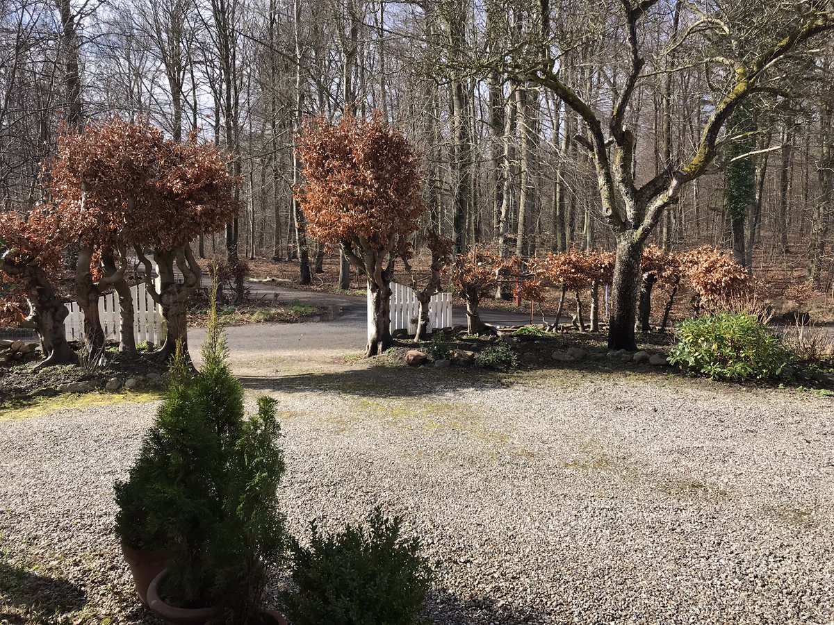 PRINTSVONJANE's tweet photo. @RathsachVon #Gartnerboligen 🟩🟪🟧⬛️ #SALG 🇩🇰💦🧜🏻‍♀️💦 contact : 🎓printsvonjane@gmail.com  : 13.495.000 dkk Direkte til skov og strand med udsigt til #Svenskekysten og privat karakter #badestrand hele året #vinterbader ☃️💦🧜🏻‍♀️☃️ https://t.co/gqKzKANWLr