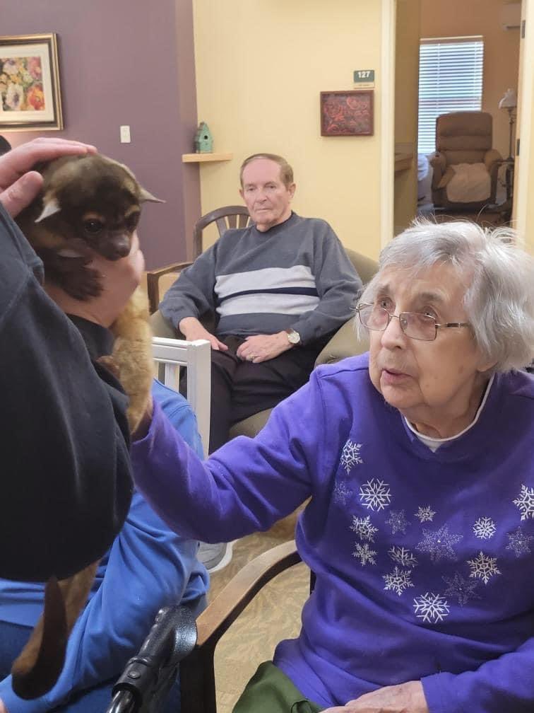 DanburyLiving's tweet photo. It was a WILD day at Danbury Cuyahoga Falls with animals from the @AkronZoo - Residents got up close and personal with all kinds of furry, feathered and slimy friends! #danburydifference https://t.co/gYvSyQDBv9