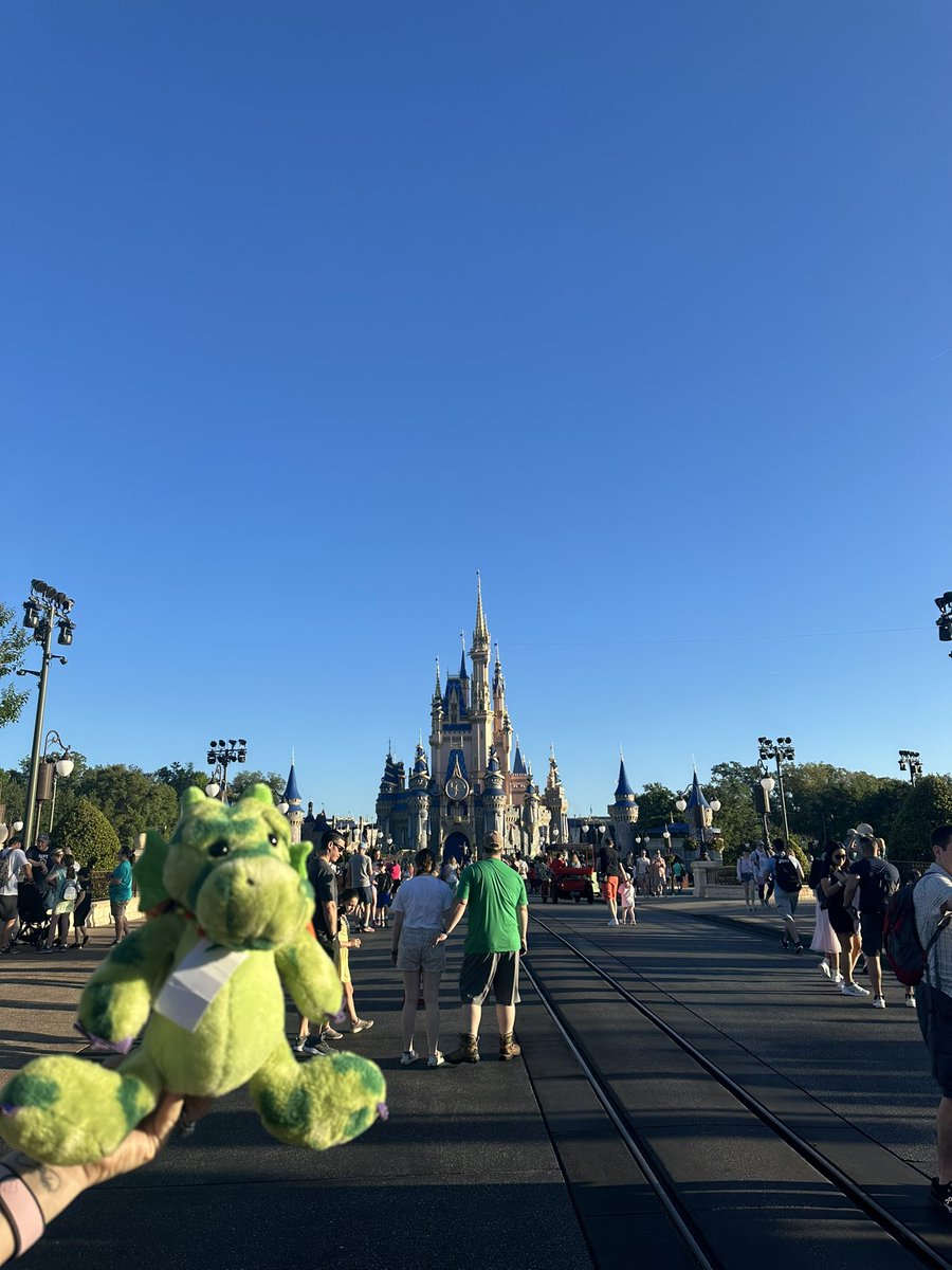 Mandy Holbrook tweet media