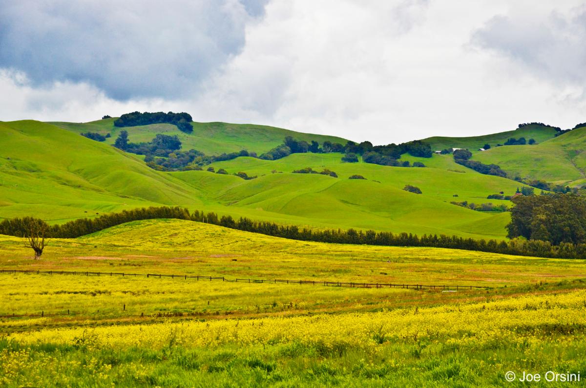 Calistoga Spa tweet media