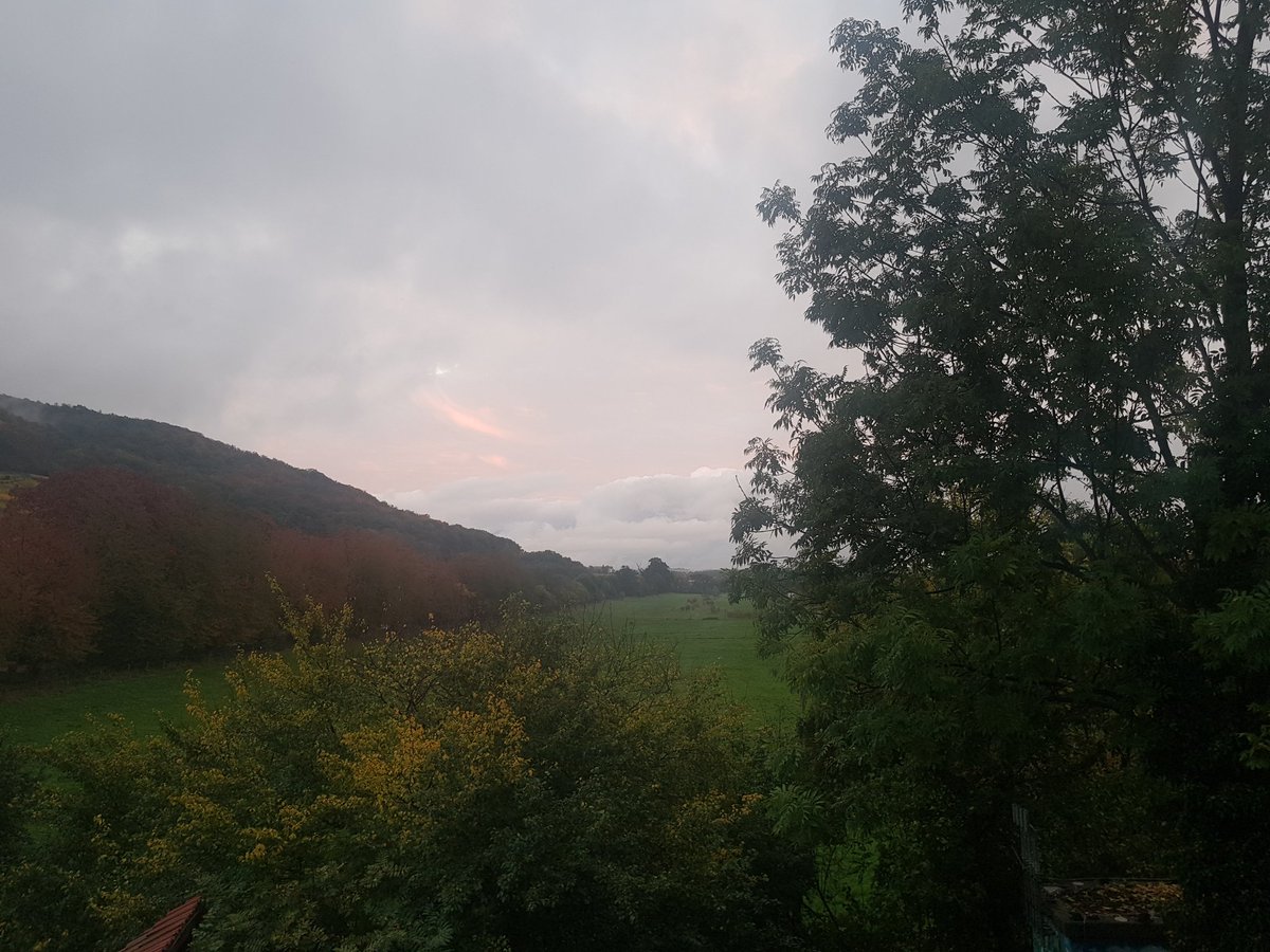 MarionFiedlerTN's tweet photo. Loving my view... https://t.co/0Wq5doXUFu