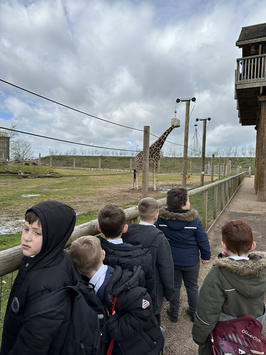 hancox_miss's tweet photo. We have seen lots of different animals! https://t.co/rq9bJFr3rC