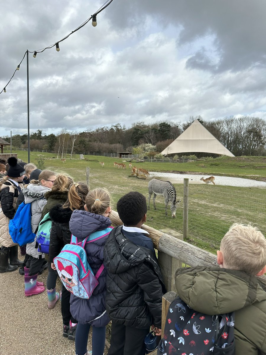 hancox_miss's tweet photo. We have seen lots of different animals! https://t.co/rq9bJFr3rC