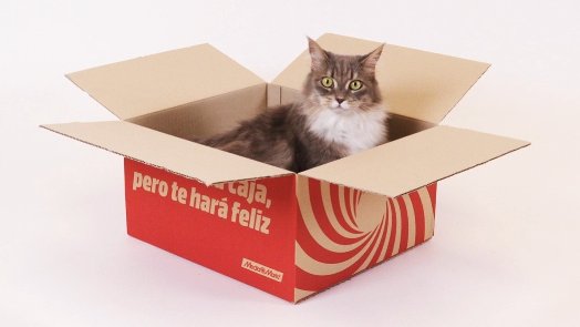 MediaMarkt_es's tweet photo. @newskill_ES No quiero vuestro #NewskillUpdate, ¡LO NECESITO!
Así mi gatete vuelve a disfrutar de su cajita 😻 https://t.co/Wx0JxcabNb
